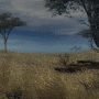 d (28).gif